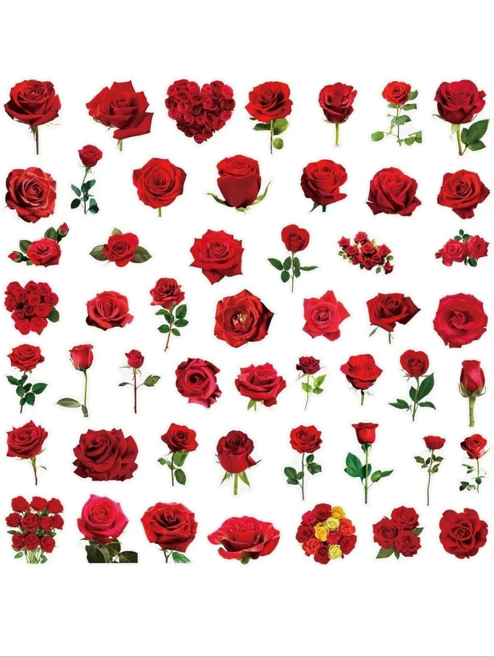 Red Rose Wall Decal Set - Elegant Floral Home Wall Decor